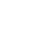 icone facebook