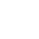 icone instagram